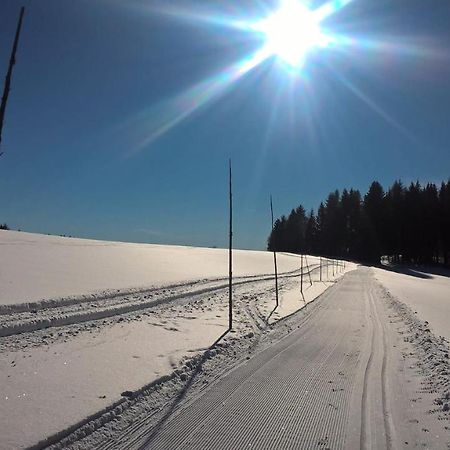 Apartmán Nad terasou Říčky Esterno foto