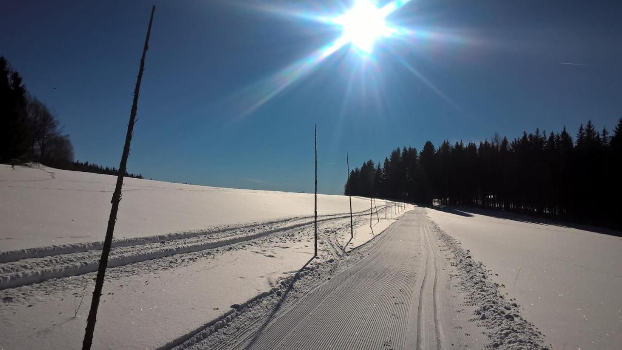 Apartmán Nad terasou Říčky Esterno foto