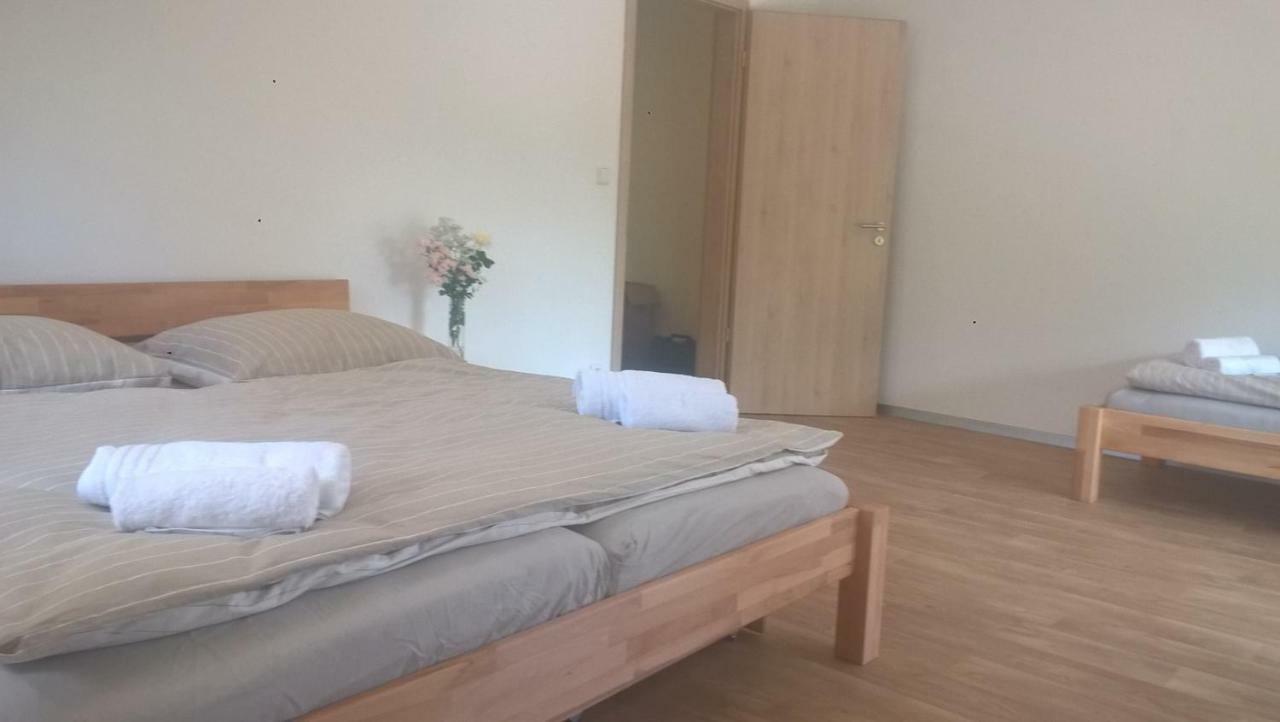 Apartmán Nad terasou Říčky Esterno foto