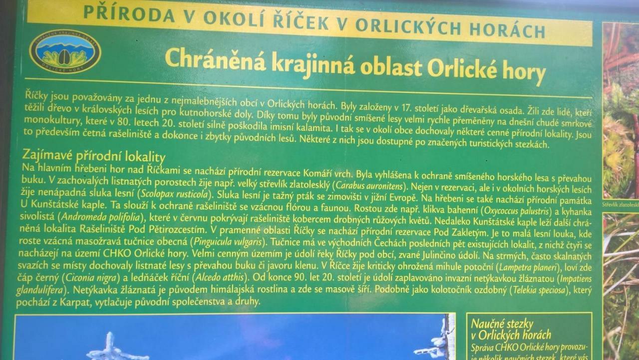 Apartmán Nad terasou Říčky Esterno foto