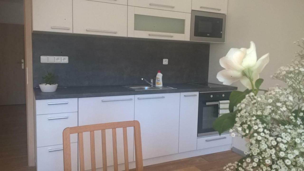 Apartmán Nad terasou Říčky Esterno foto